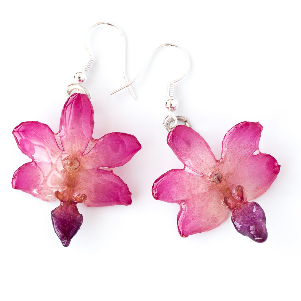 Flower Earrings Pink-Purple Doritis Orchid Earrings