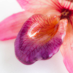 Pink Purple Nobile Orchid pin.