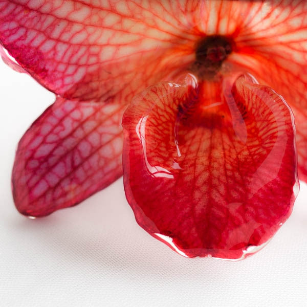 Purple Red Nobile Orchid pin.