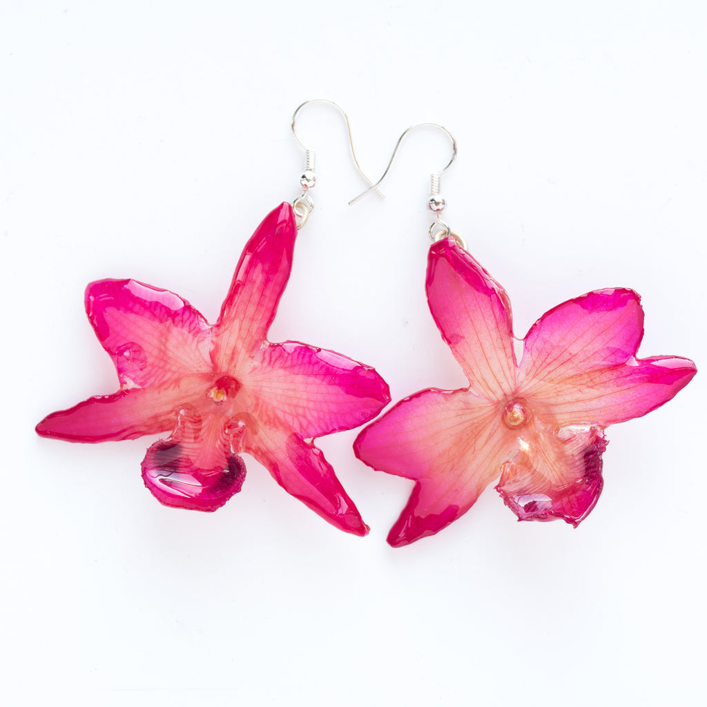 Flower Earrings Pink Parishii Orchid Earrings