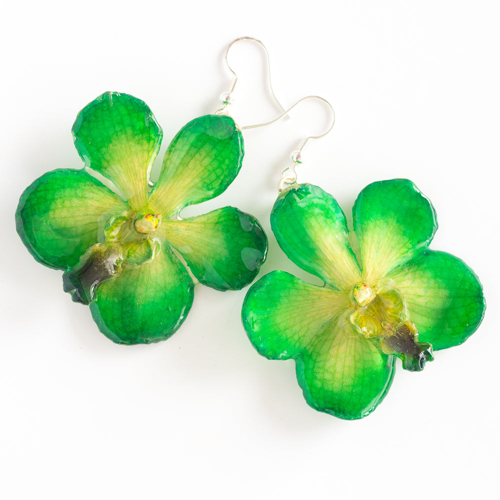 Flower Earrings Green Vanda orchid earrings
