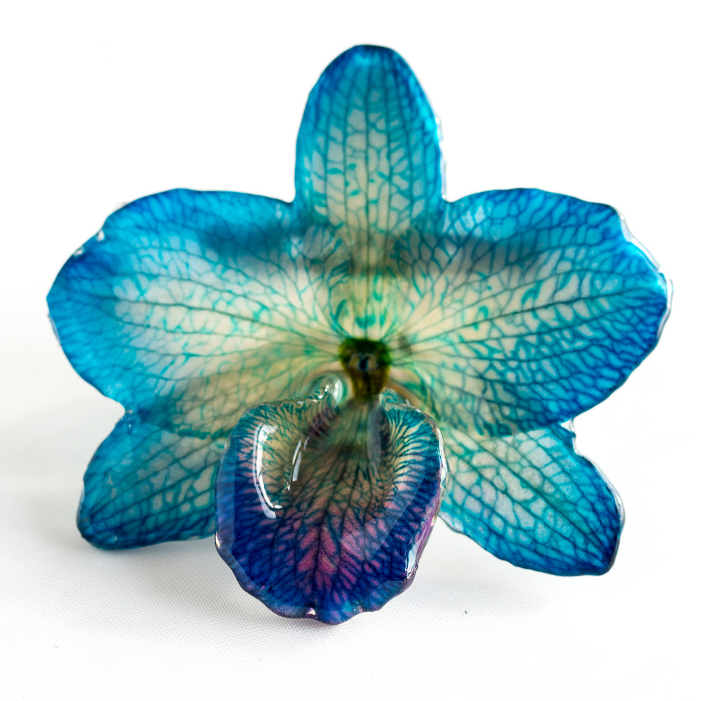 Blue Purple Nobile Orchid pin.