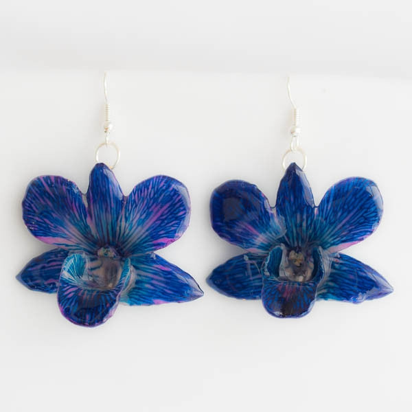Flower Earrings blue dendrobium orchid