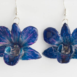 Flower Earrings blue dendrobium orchid