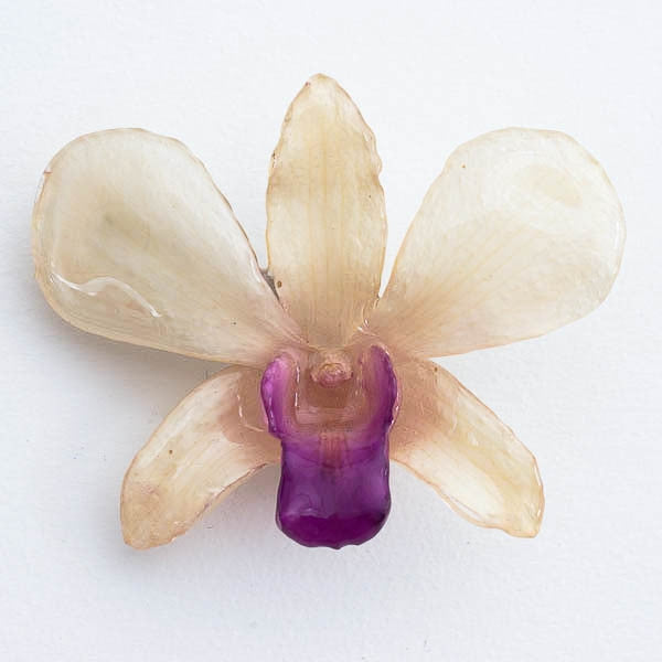White Purple Dendrobium Orchid Hairclip