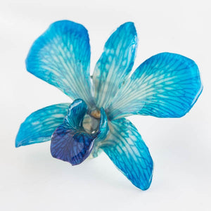 Blue White Dendrobium Orchid pin.