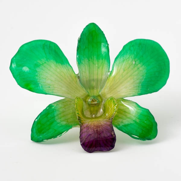 Green-Purple Dendrobium Orchid pin