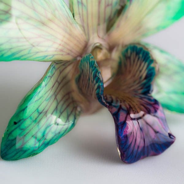 Green Purple Dendrobium Orchid pin
