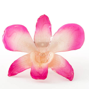 Pink-White Dendrobium Orchid pin.