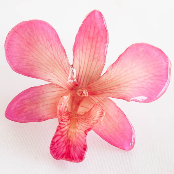 Pink-White Dendrobium Orchid pin.