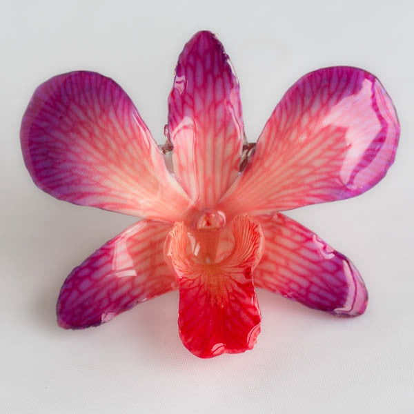 Purple Pink Dendrobium Orchid pin.
