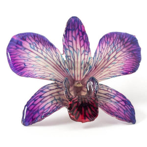 Purple-Red Dendrobium Orchid pin.