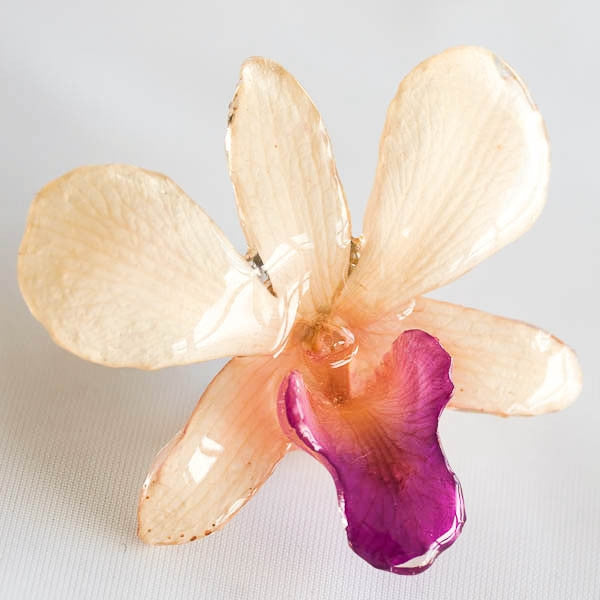 Purple-White Dendrobium Orchid pin.