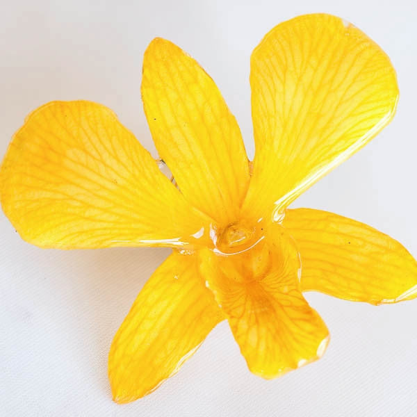 Yellow Dendrobium Orchid pin.