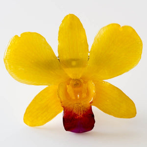Yellow-Purple Dendrobium Orchid pin.