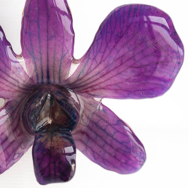 Flower Earrings Pink-Lady orchid earrings, purple color