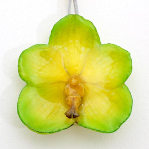 Flower Necklace Green Yellow Vanda Orchid