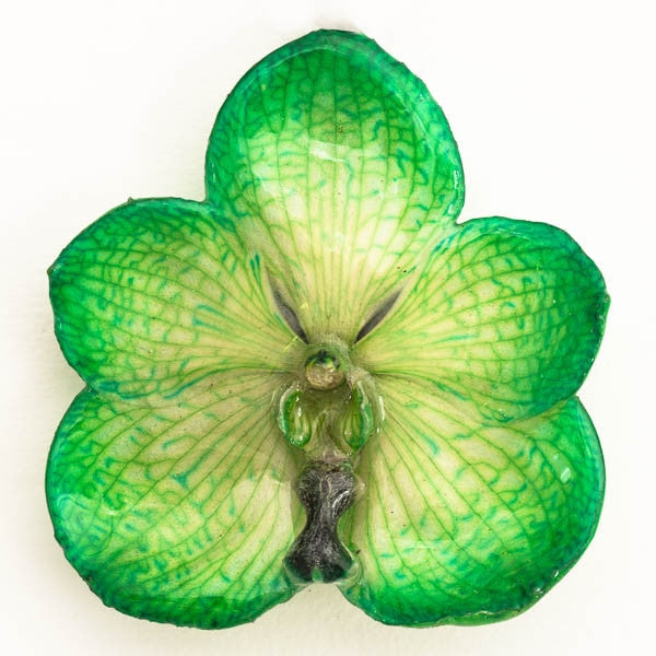 Green-Yellow Vanda Orchid Pin