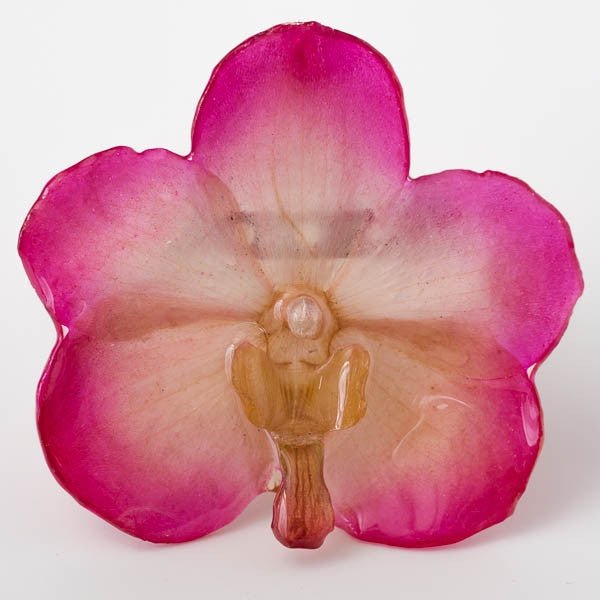 Pink-White Vanda Orchid Pin.