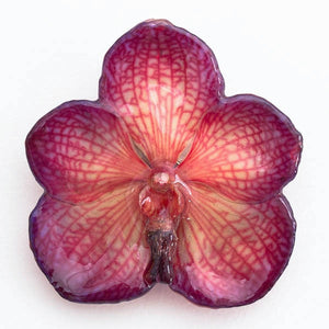 Purple Red Vanda Orchid Hairclip