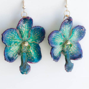 Flower Earrings Purple Blue Vasco Orchid Flower Earrings