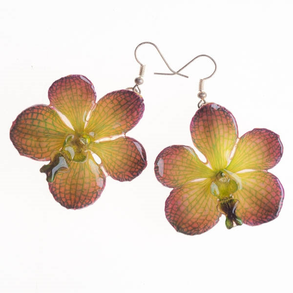 Purple Green Vanda real orchid earrings