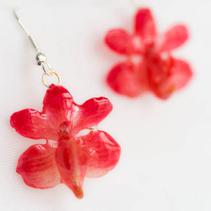 Flower Earrings Pink Rhynchocentrum Real Orchid Earrings