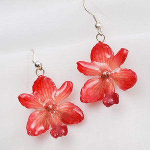 Flower Earrings Pink Rhynchocentrum Real Orchid Earrings