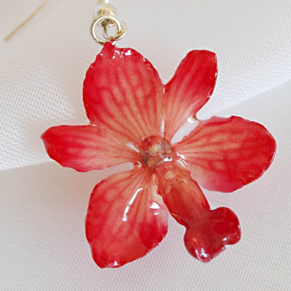 Flower Earrings Pink Rhynchocentrum Real Orchid Earrings