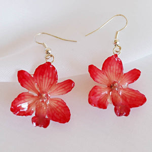 Flower Earrings Pink Rhynchocentrum Real Orchid Earrings