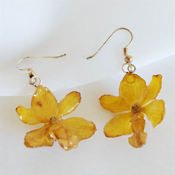 yellow rhynchocentrum orchid earrings