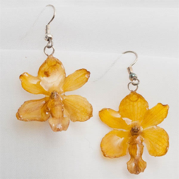 yellow rhynchocentrum orchid earrings