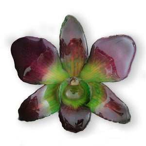 Purple Green Dendrobium Orchid Hairclip.