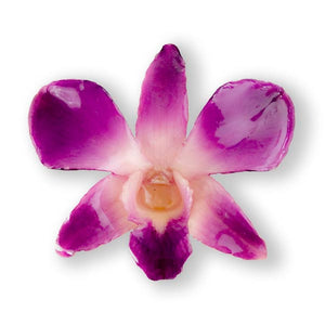 Purple White Dendrobium Orchid Hairclip.