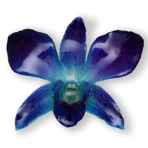 Blue Dendrobium Orchid pin.