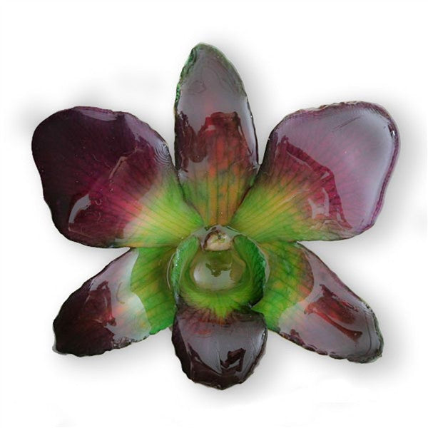 Purple Green Dendrobium Orchid pin.