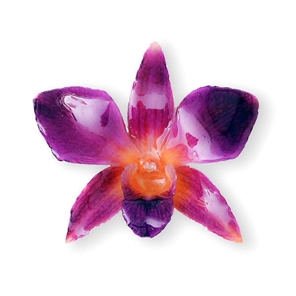 Purple Orange Dendrobium Orchid pin.