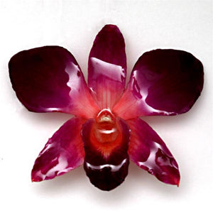 Purple Pink Dendrobium Orchid pin.