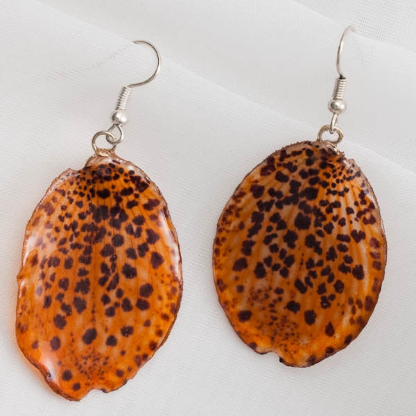 Flower Earrings orange paphiopedilum bellatulum orchid earrings