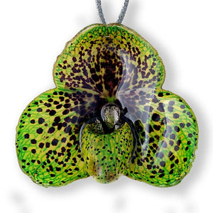 Flower Necklace Green Paph Bellatulum Orchid