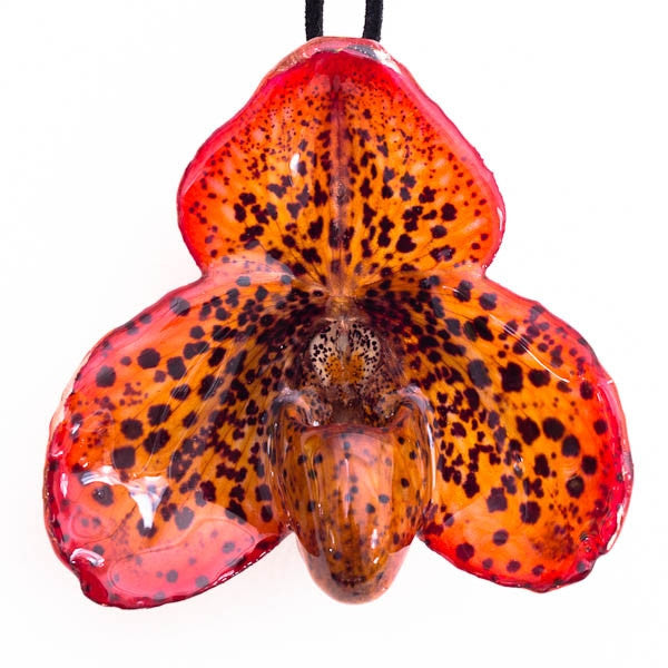 Orange Paph Bellatulum Orchid Necklace