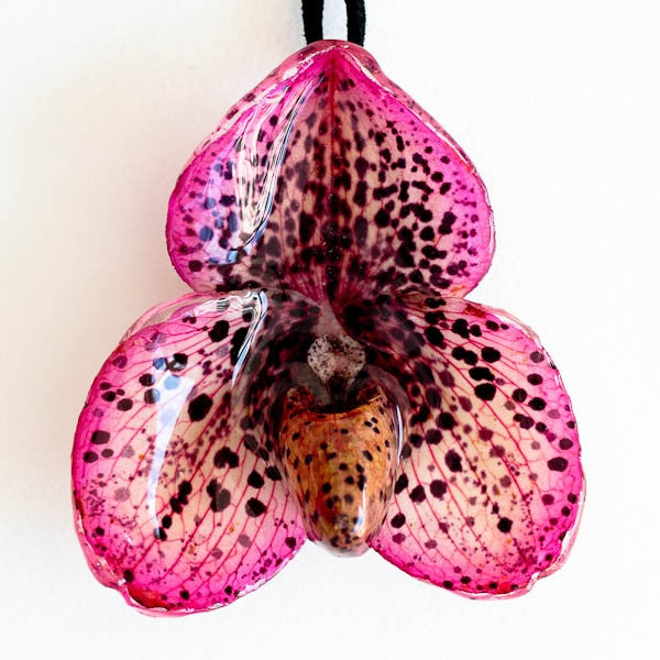 Pink Paph Bellatulum Orchid Necklace
