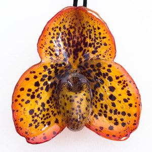 Red Yellow Paph Bellatulum Orchid Necklace