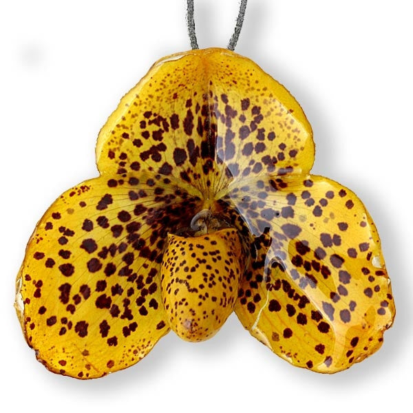 Yellow Paph Bellatulum Orchid Necklace