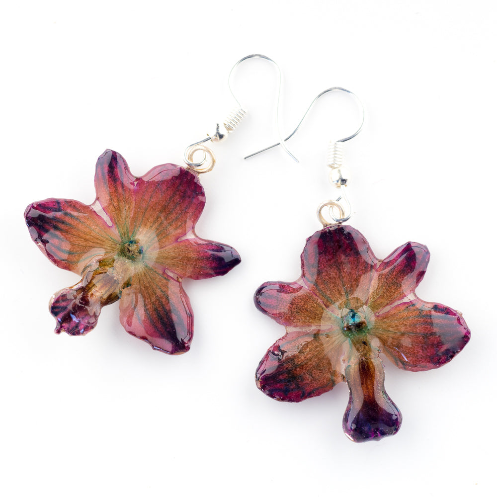 Purple Rhynchocentrum Orchid Earrings