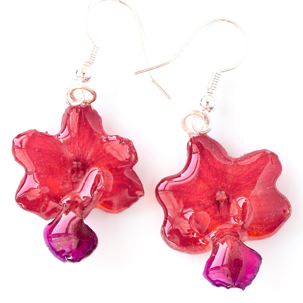 Flower Earrings Pink-Purple Rhynchocentrum Orchid Earrings