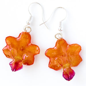 Flower Earrings Orange-Purple Rhynchocentrum Orchid Earrings