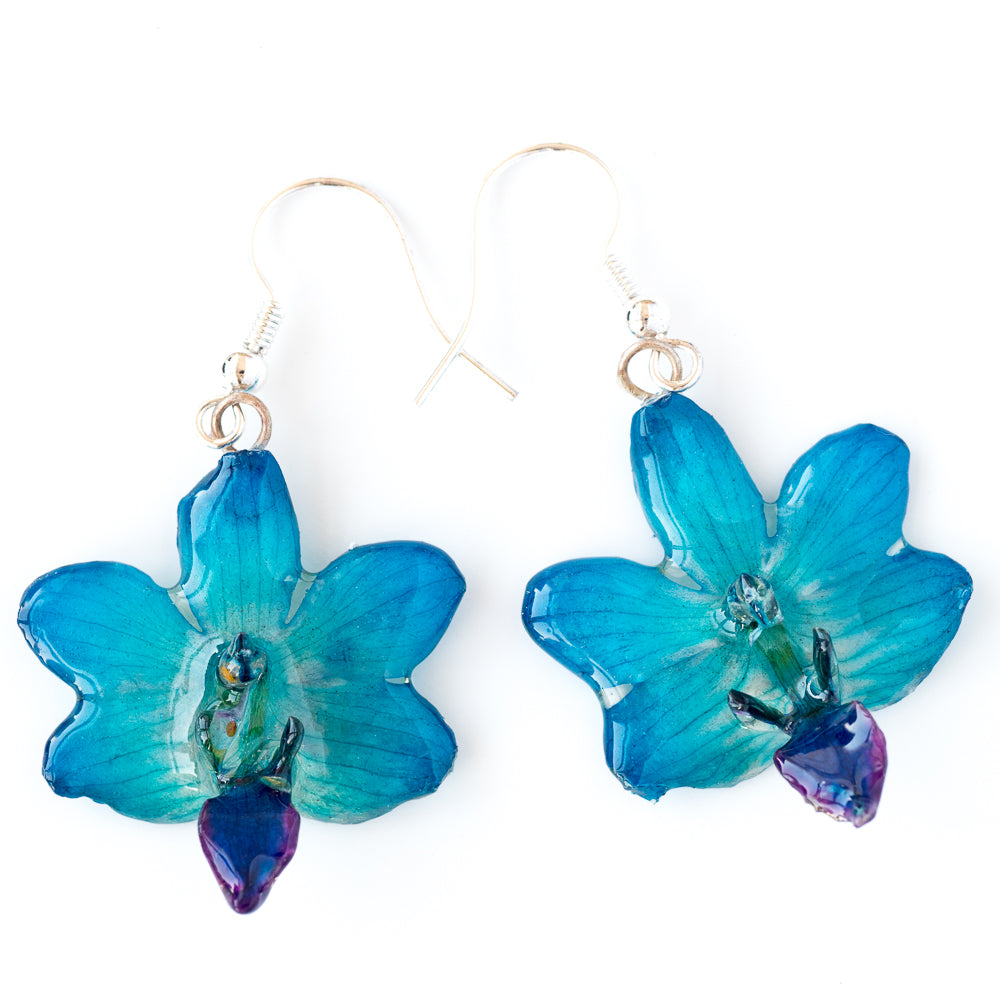 Flower Earrings Blue Doritis Orchid Earrings