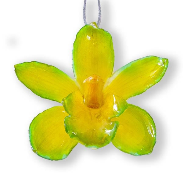 Green Yellow Cymbidium Orchid necklace