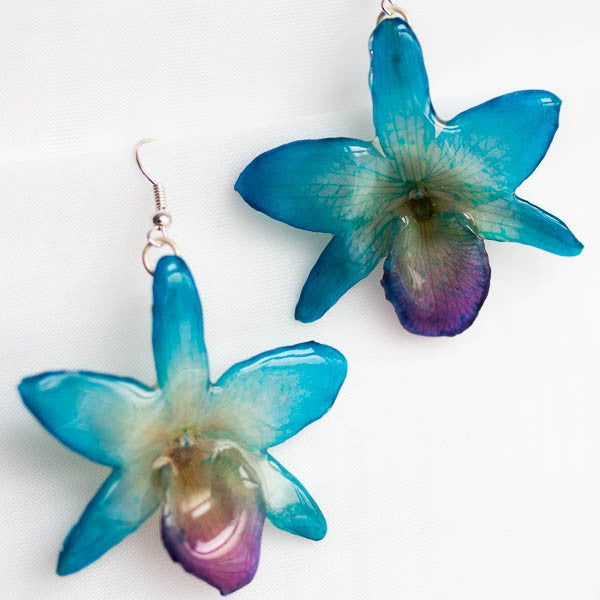 Flower Earrings blue nobile real orchid earrings orchid earrings